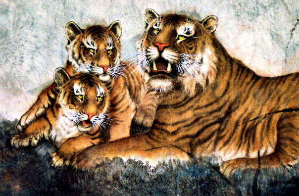 四大老虎,历史、文化、生态与象征的多维解读,四大老虎,多维解读历史、文化、生态与象征意义