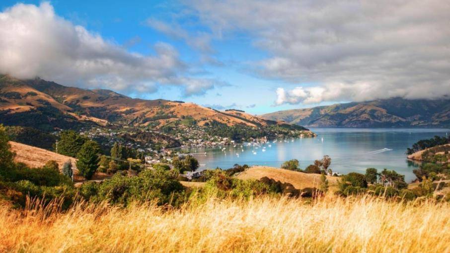 澳门平特一肖,揭秘预测真相,100%免费?,澳门平特一肖揭秘预测真相,真实免费还是陷阱?