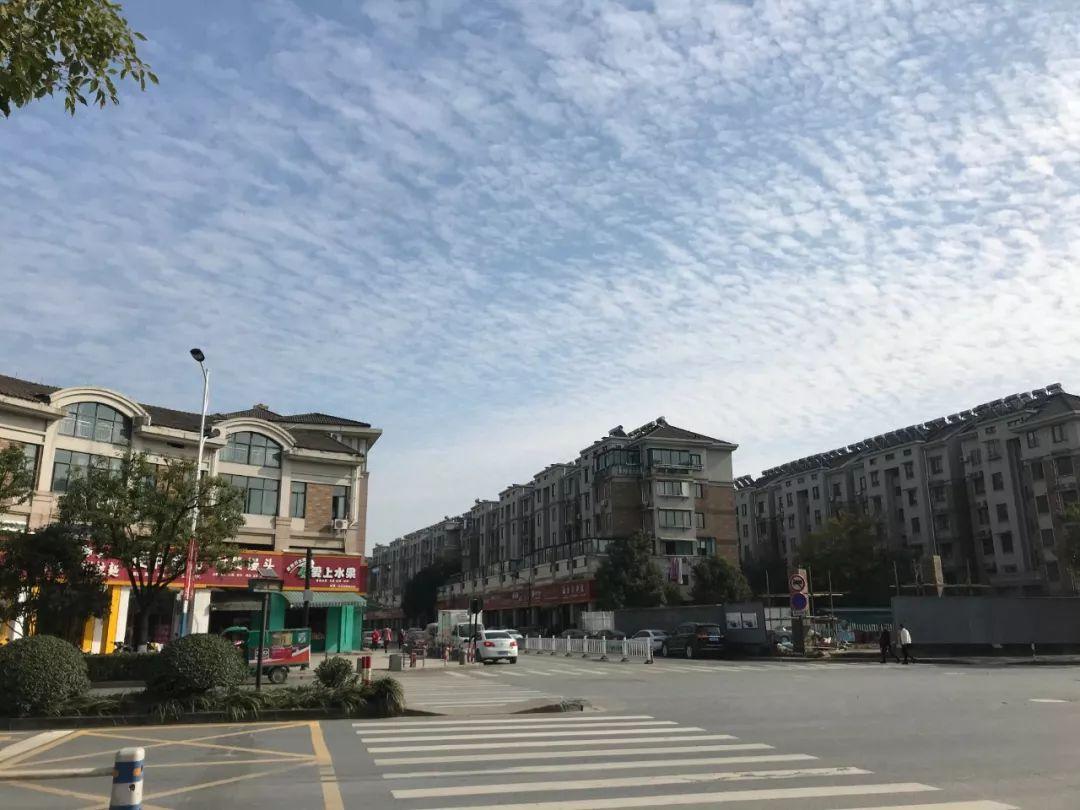 高教9,新时代的卓越教育典范,高教9,新时代卓越教育典范典范引领未来