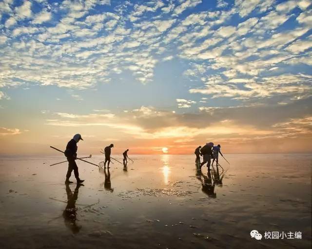 海南夜晚的赶海之旅，探索神秘的海底世界，海南夜晚赶海之旅，揭秘神秘海底世界