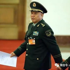 关于我国现役上将数量的分析与预测——聚焦在即将到来的2023年,我国现役上将数量分析与预测,聚焦即将到来的2023年展望