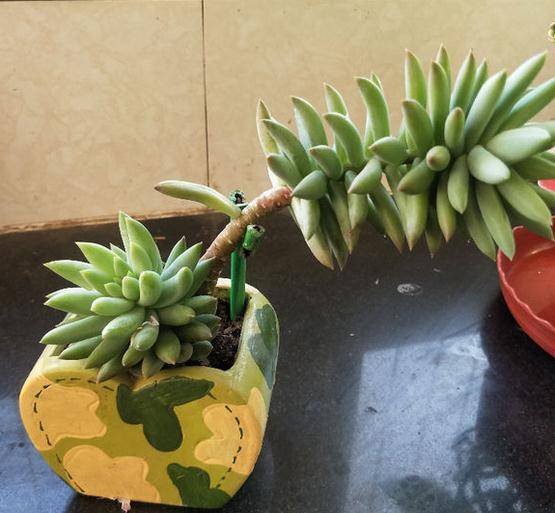 澳门晚上六点半开奖结果,揭秘彩票背后的故事,澳门晚六点半开奖揭秘,彩票背后的故事