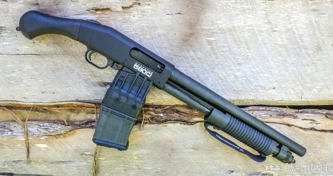 探索与解析,关于12号霰弹的奥秘,揭秘,关于12号霰弹的神秘面纱