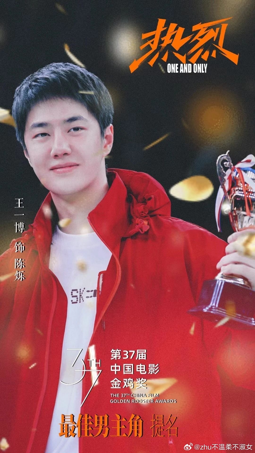 王中王一肖中特,探寻新时代背景下的独特魅力与价值(2020年观察报告),新时代背景下王中王一肖的独特魅力与价值(2020年观察报告)