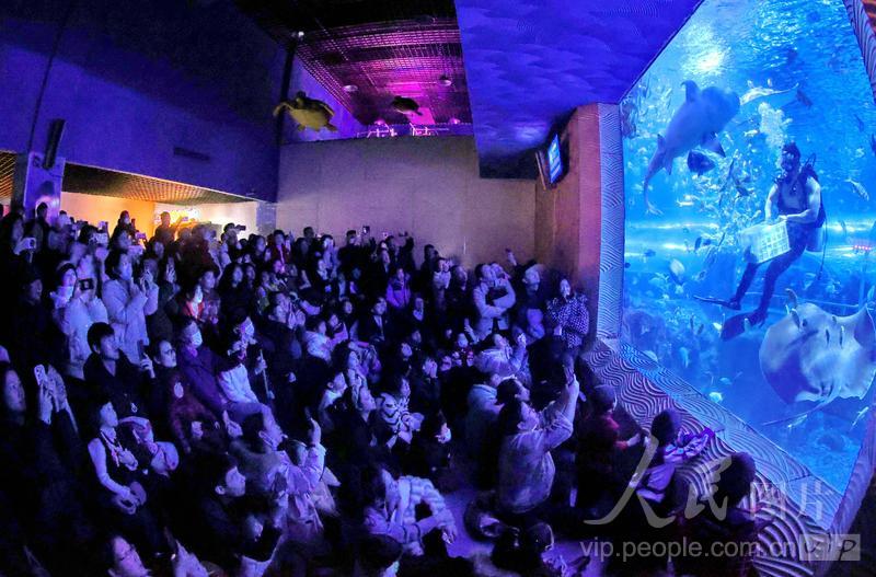 新澳2025今晚开奖结果揭晓,期待与惊喜交织的时刻,新澳2025今晚开奖结果揭晓,期待与惊喜的时刻来临