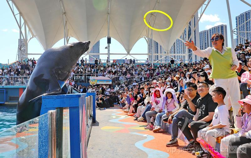 新澳2025今晚开奖结果揭晓,期待与惊喜交织的时刻,新澳2025今晚开奖结果揭晓,期待与惊喜的时刻来临