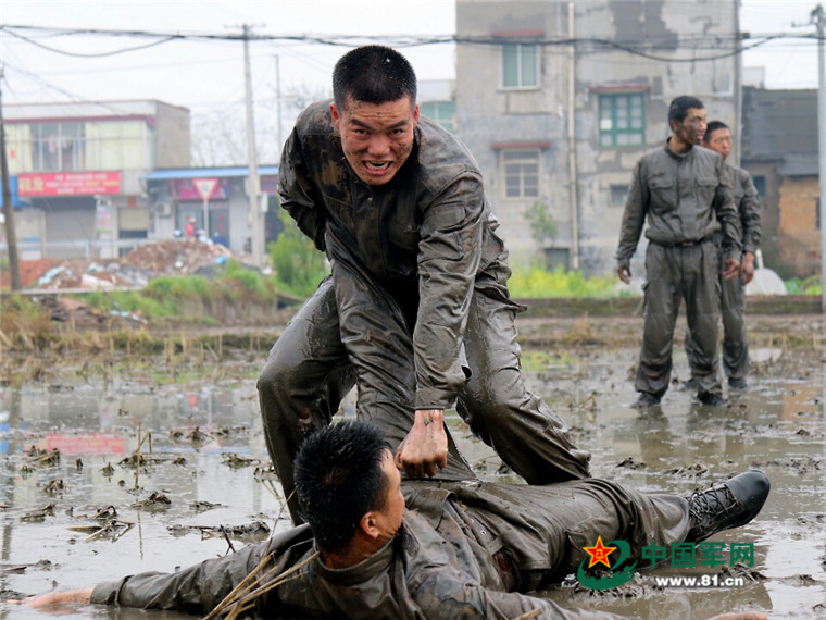 两会部队士官改革最新消息,深化军事变革,推动士官制度创新发展,两会部队士官改革最新动态,深化军事变革,创新士官制度发展