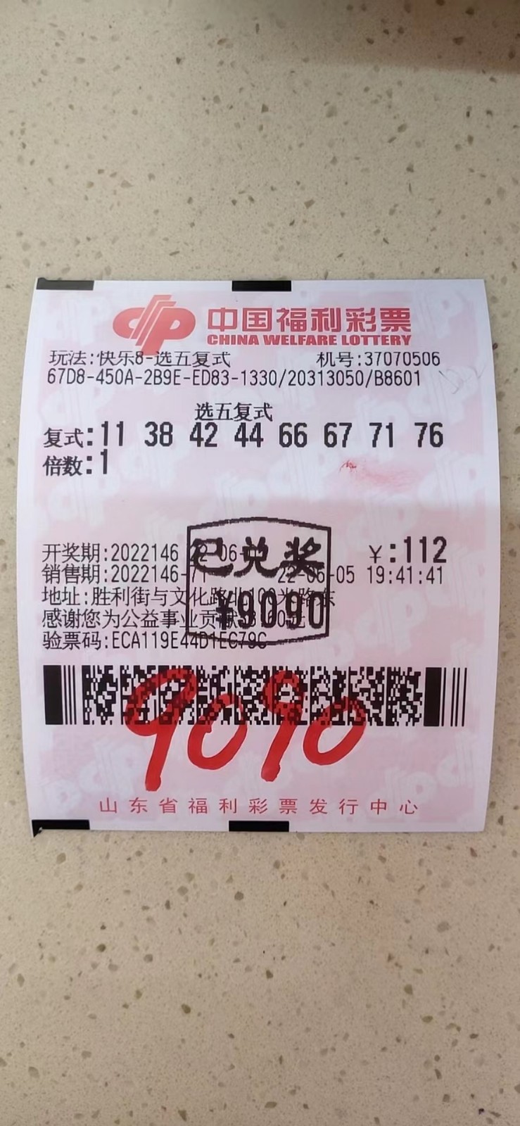 王中王平特一肖,两个幸运数字的碰撞,王中王平特一肖,两大幸运数字的奇妙交汇