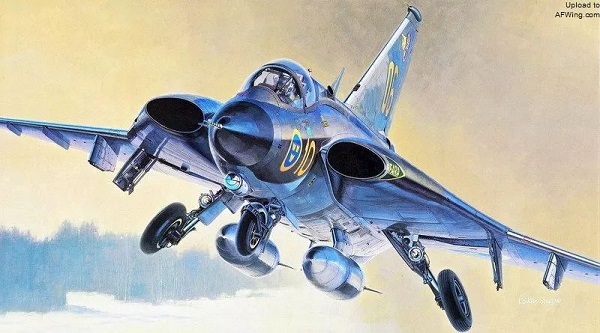 探索双三角翼，设计与性能的独特融合，双三角翼的独特设计与性能探索