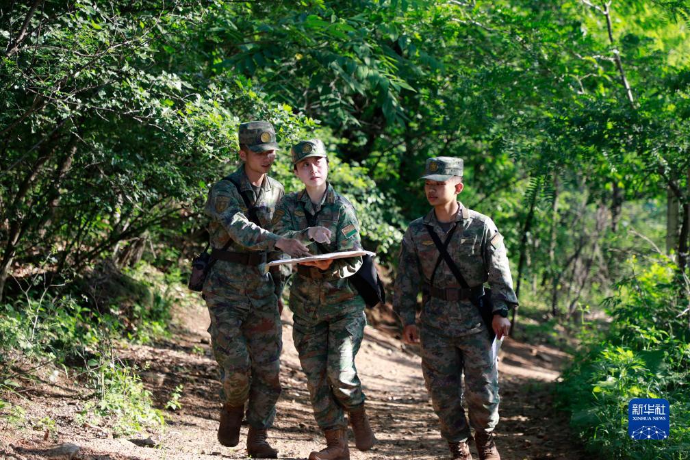 战略支援部队难进吗？解析其选拔标准与重要性，战略支援部队选拔标准与重要性解析，进入难度探讨