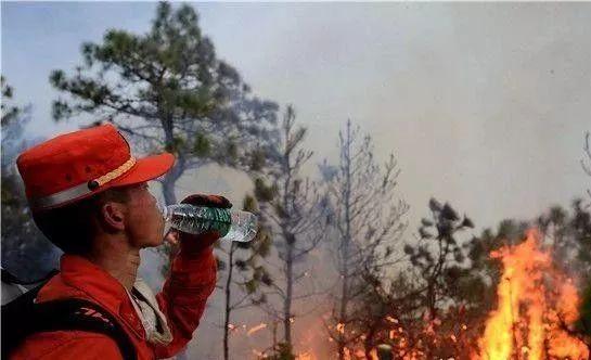 武警部队中的特殊力量，揭秘武警114师五个团的存在意义，揭秘武警部队中的特殊力量，武警114师五个团的存在意义