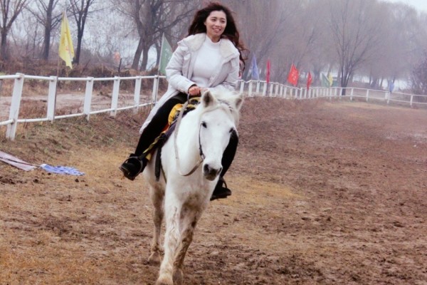 新奥最精准免费大全,探索与实践的完美结合,新奥最精准免费大全,探索与实践的和谐融合