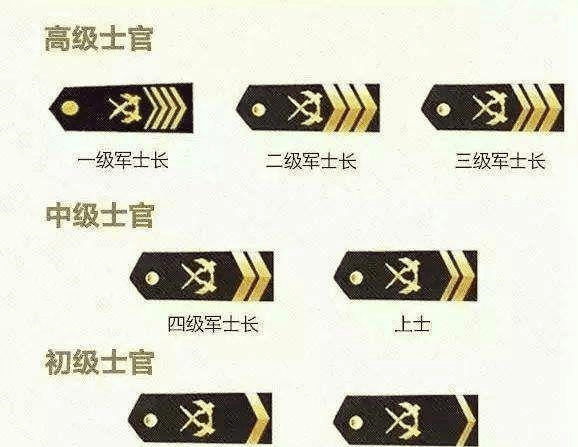 义务兵军衔等级排名,荣誉与责任的象征,义务兵军衔等级排名,荣誉与责任的标志