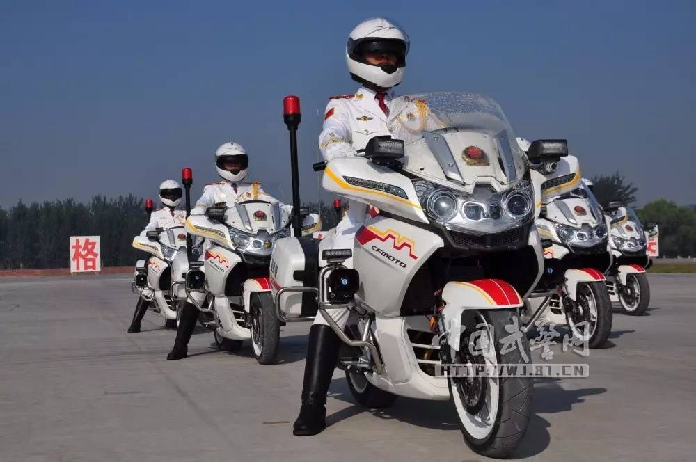 中国的国宾护卫队,荣耀与使命的所在,中国国宾护卫队,荣耀与使命的守护者