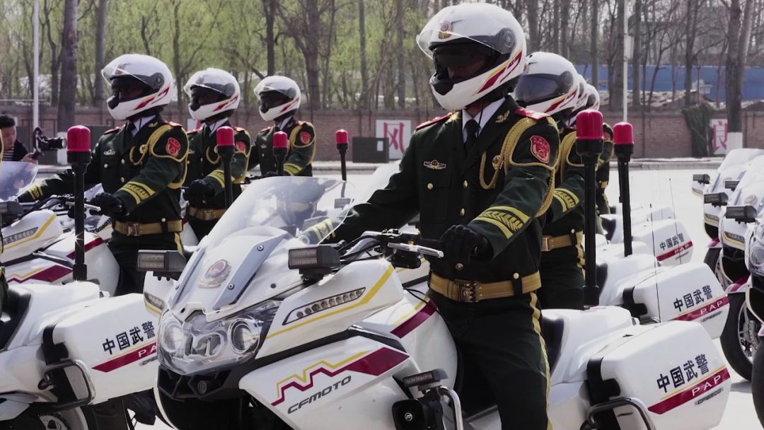 中国的国宾护卫队,荣耀与使命的所在,中国国宾护卫队,荣耀与使命的守护者