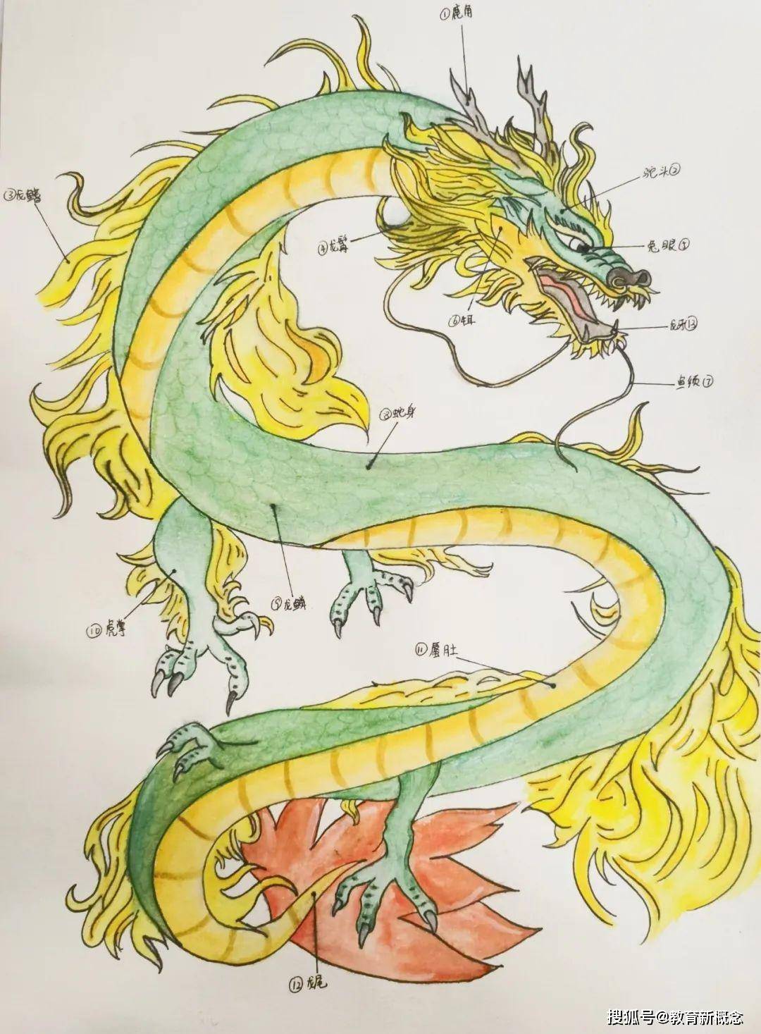 歼-20的初中画法,探索与创意的结合,歼-20的初中画法,探索创意,绘就未来