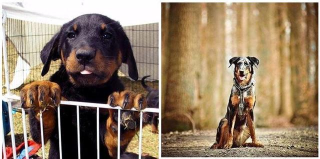 法国最新消息概览,法国最新消息概览概览