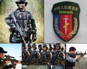 中国现有的六大军兵种,迈向现代化军事强国的坚实基石,中国六大军兵种,现代化军事强国的基石之路