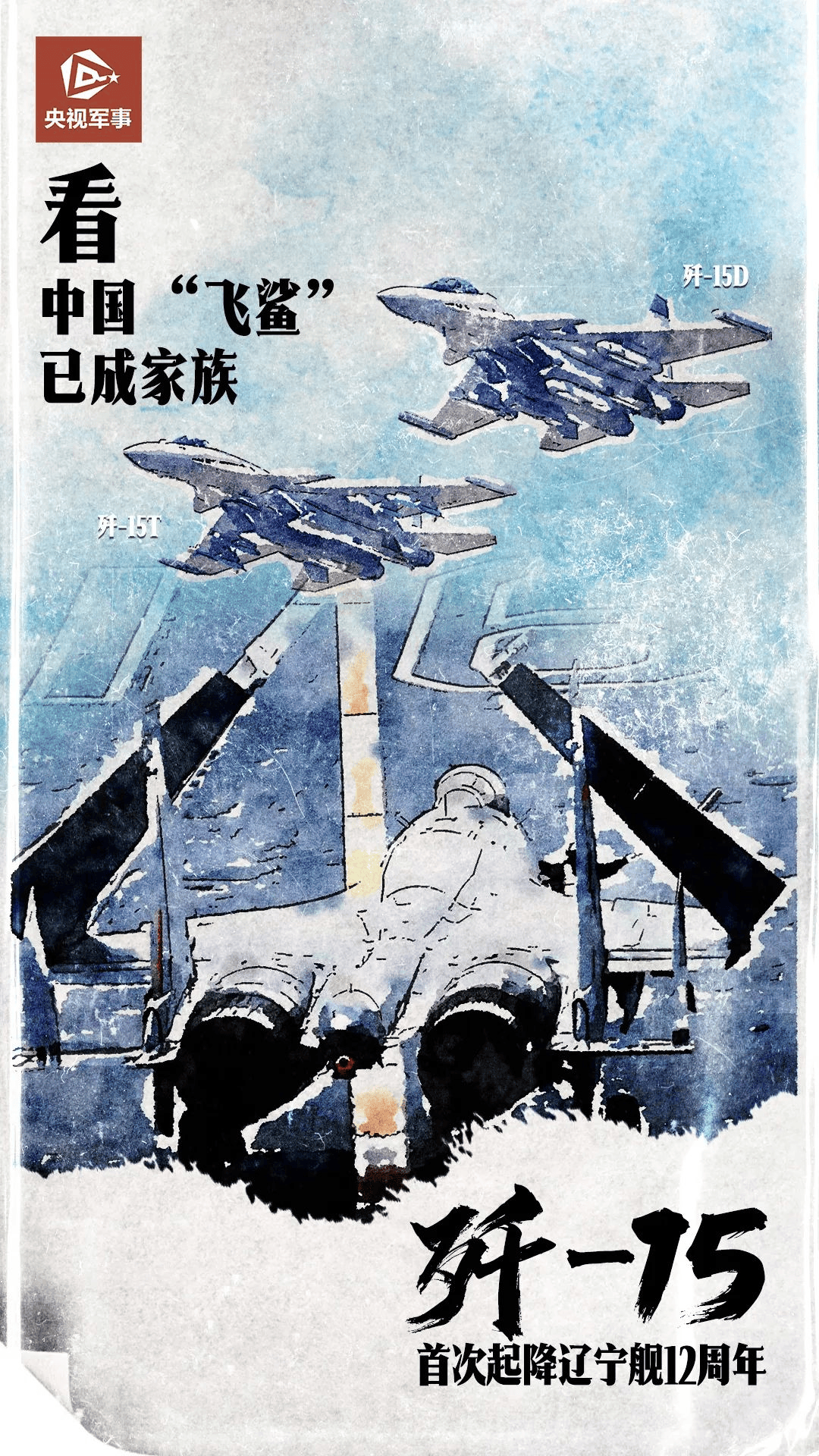 中国航母飞行员，英勇无畏的牺牲与壮烈的使命，中国航母飞行员，英勇使命与无畏牺牲