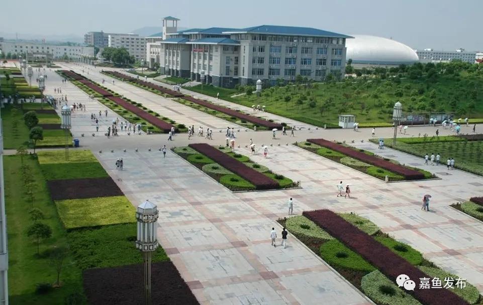 咸嘉新城最新新闻消息,咸嘉新城最新动态报道