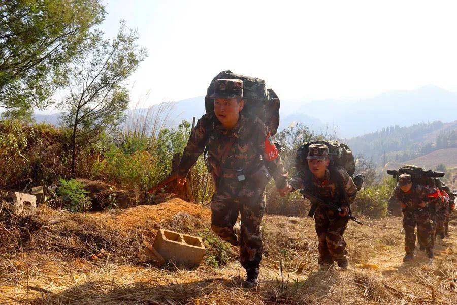 关于80军集团备战的原因分析，80军集团备战原因深度解析