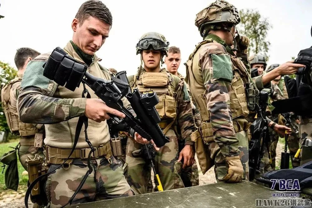 法国陆军,历史、现状和未来展望,法国陆军,历史沿革、现状解析与未来展望