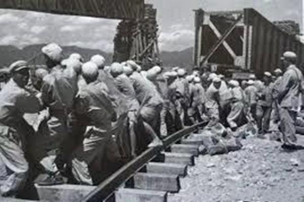 关于47集团军工兵团现状的探讨,47集团军工兵团现状深度探讨