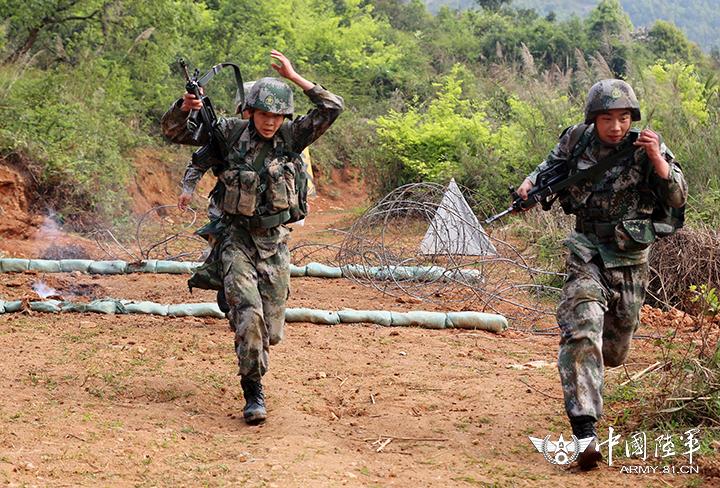 揭秘中国人民解放军陆军第31集团军的历史与现状,中国人民解放军陆军第31集团军历史与现状揭秘
