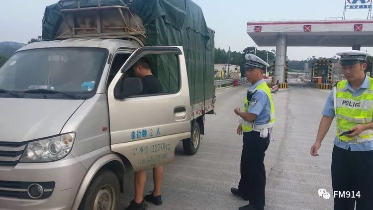 临终高速王中王打一生肖——探寻生肖之王的奥秘,探寻生肖之王的奥秘,临终高速王中王打一生肖