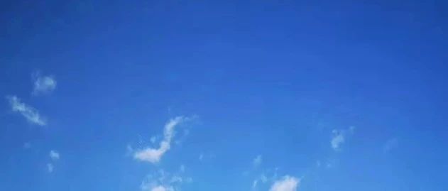 易练红最新消息，展现新时代领导风采，易练红最新动态，展现新时代领导风采