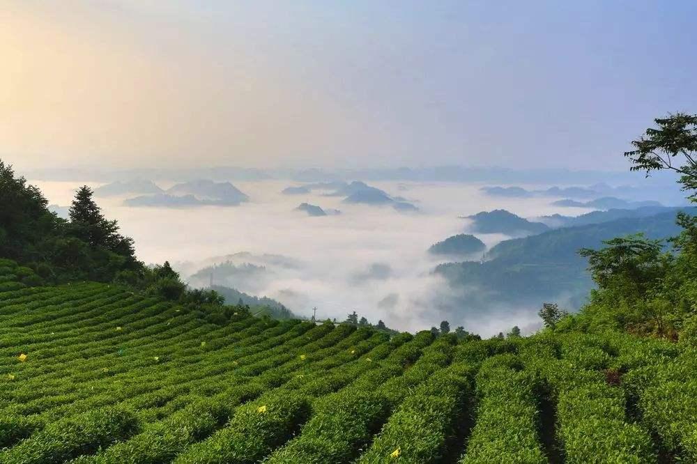 遵义舰,中国海军力量的骄傲与荣耀(第107篇),遵义舰,中国海军力量的璀璨明珠(第107篇)