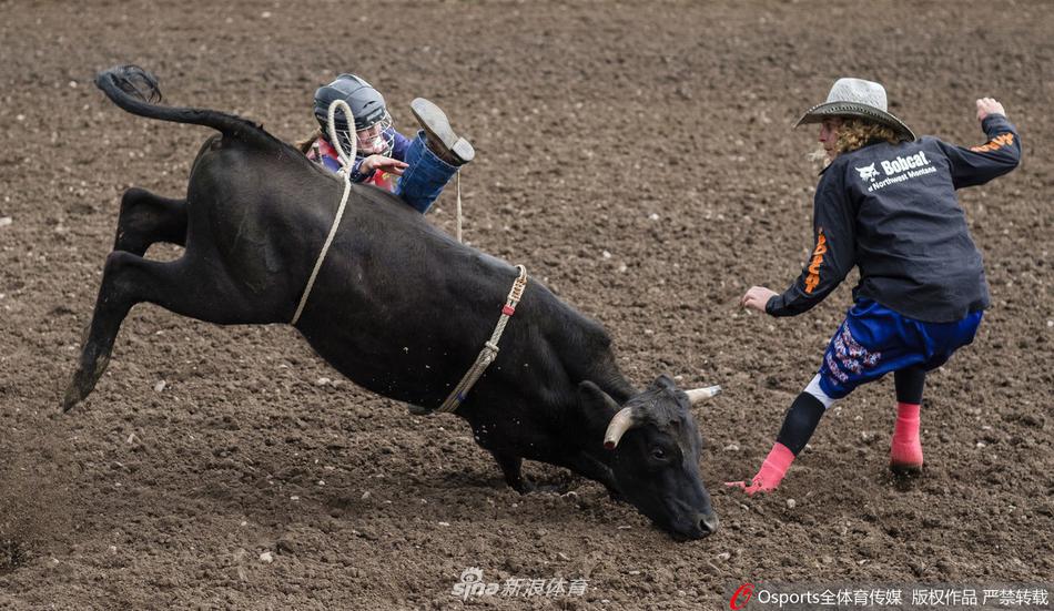 白小姐四肖选一肖与刘伯温的传奇故事，刘伯温与白小姐四肖选一传奇故事摘要
