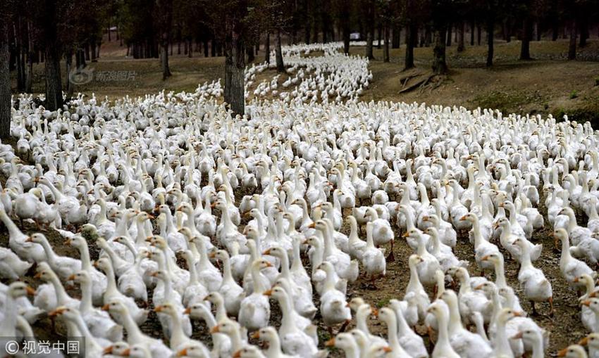 辽宁舰航母编队