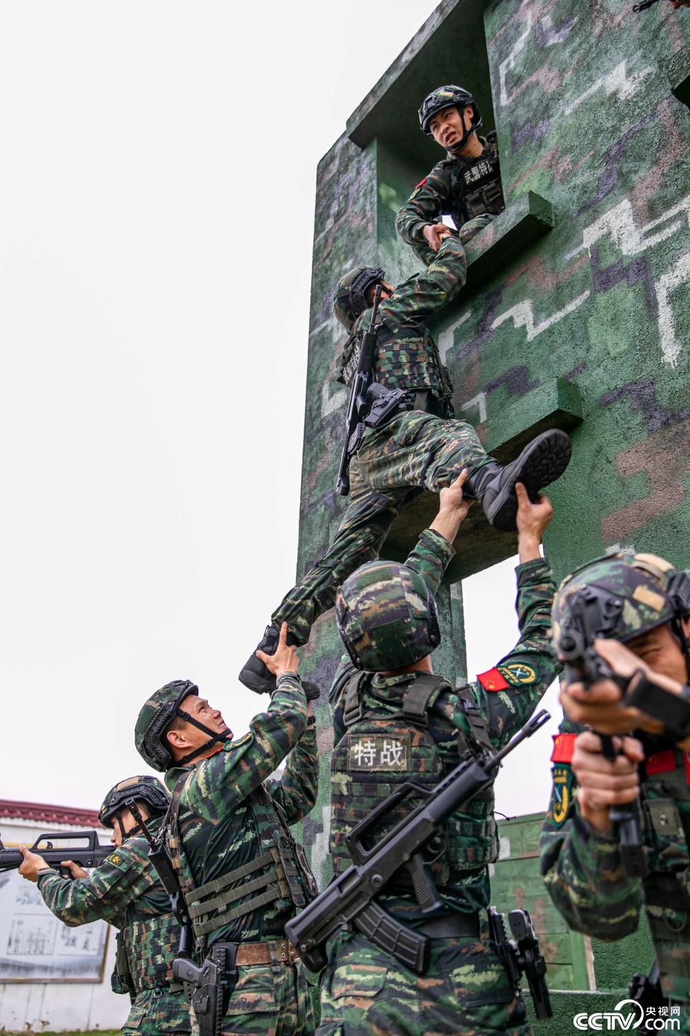 武警特战留队几率高的分析与探讨,武警特战留队几率高的深度分析与探讨