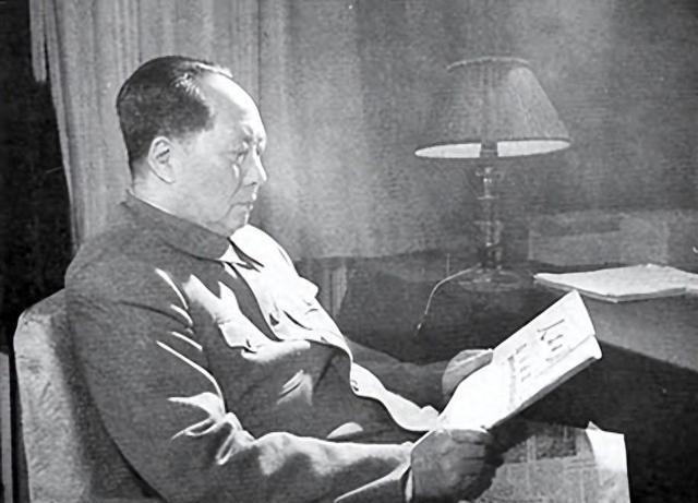 金门双方伤亡人数预测,历史与现实的交织,金门事件双方伤亡预测,历史与现实的交织