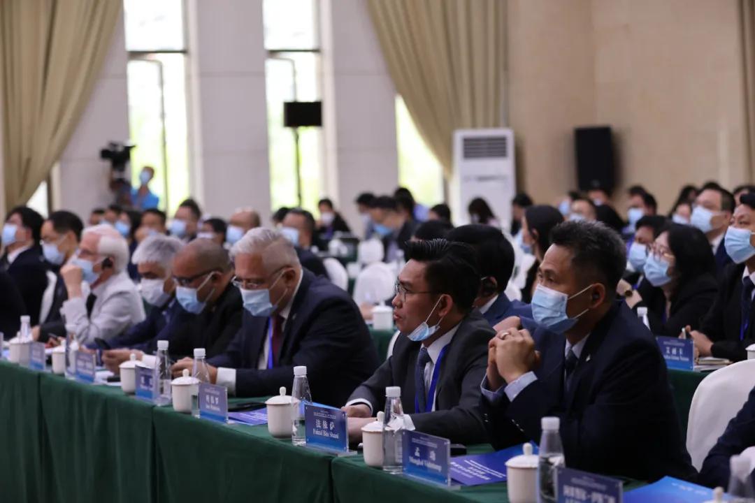 世界新闻报事件启示,媒体责任与社会意识的交融,世界新闻报事件启示,媒体责任与社会意识的交融与反思