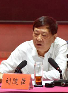 中国战略研究会会长,战略洞察与决策智囊,中国战略研究会会长,战略洞察与决策智囊的独到见解