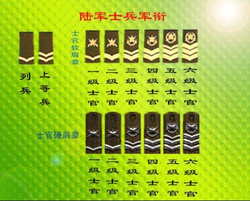 中国的军士长军衔等级及标志,中国军士长军衔等级与标志解读