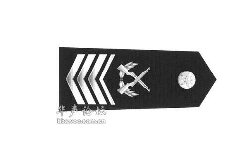 中国的军士长军衔等级及标志,中国军士长军衔等级与标志解读