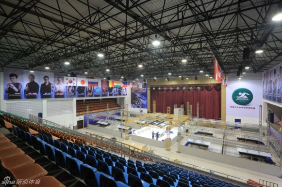 王中王一肖一马期期中中——探寻成功背后的秘密,探寻王中王一肖一马的成功秘诀,期期中中的背后秘密