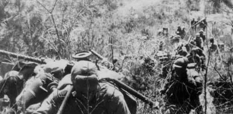 志愿军与解放军，名称背后的深层含义与选择逻辑，志愿军与解放军名称背后的深层含义与命名逻辑探究