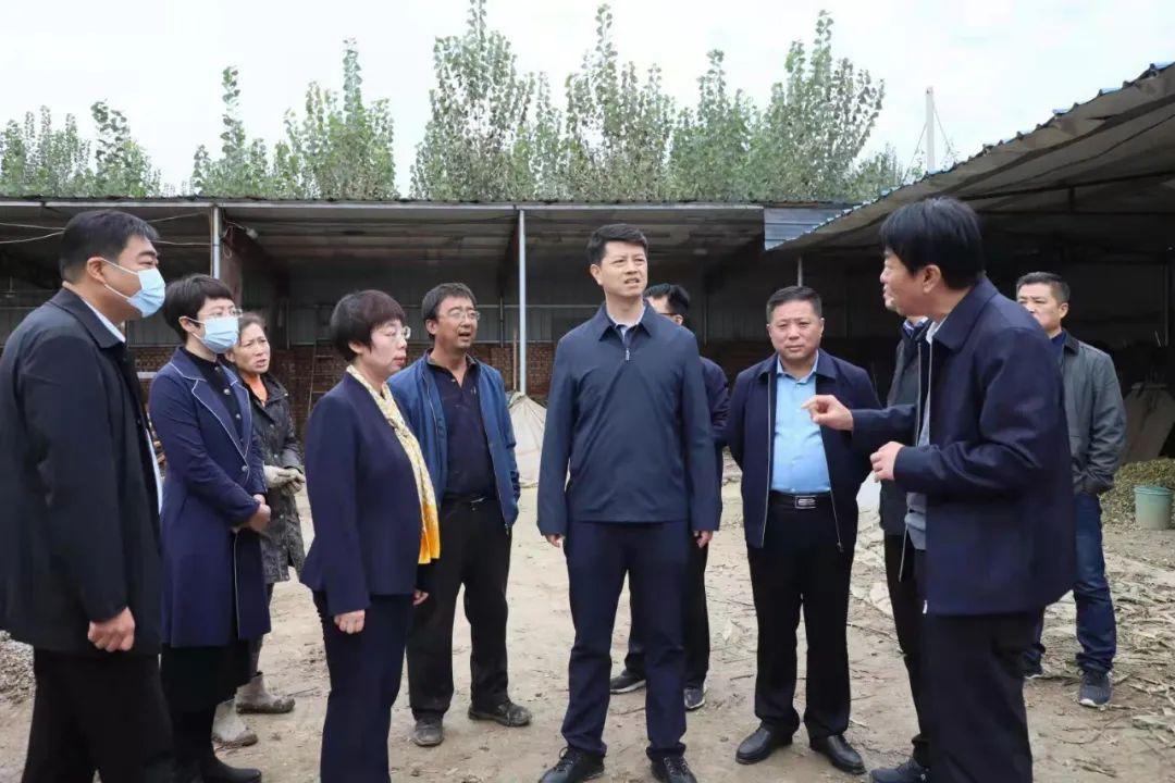 今日头条新闻电脑版免费下载安装指南,今日头条新闻电脑版下载与安装指南