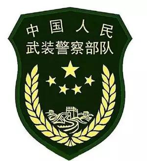 武警警徽高清图片大全,荣耀与责任的象征,武警警徽高清图片大全,荣耀与责任的象征,展现忠诚与力量的标志