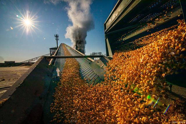 听说2021年要打仗是真的吗?关于这个问题的深度探讨,关于听说2021年将发生战争的传闻与深度探讨