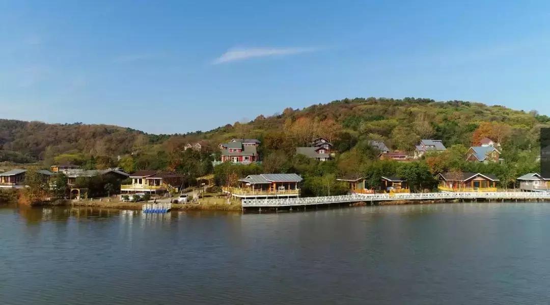 军事科技与纪录片的交织,探索军事科技领域的深度与广度,军事科技与纪录片,深度探索军事科技领域的交织之旅