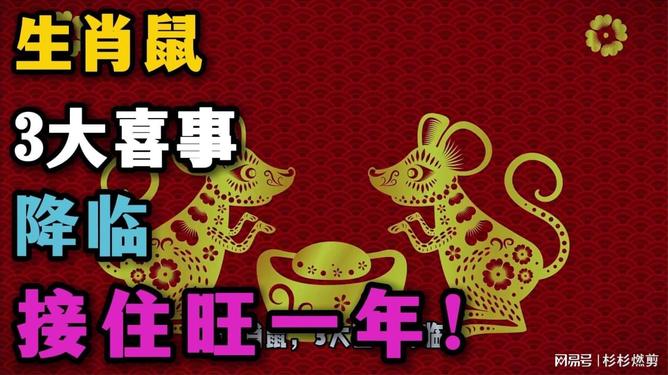 澳门六福生肖鼠开奖结果及其背后的文化意义，澳门六福生肖鼠开奖结果与文化内涵解读