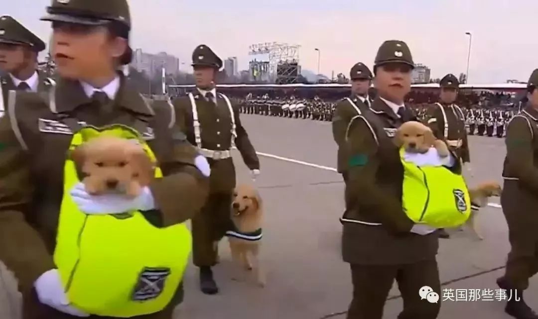 阅兵仪式,现在向我们迎面走来的壮丽景象,阅兵仪式,壮丽景象迎面走来