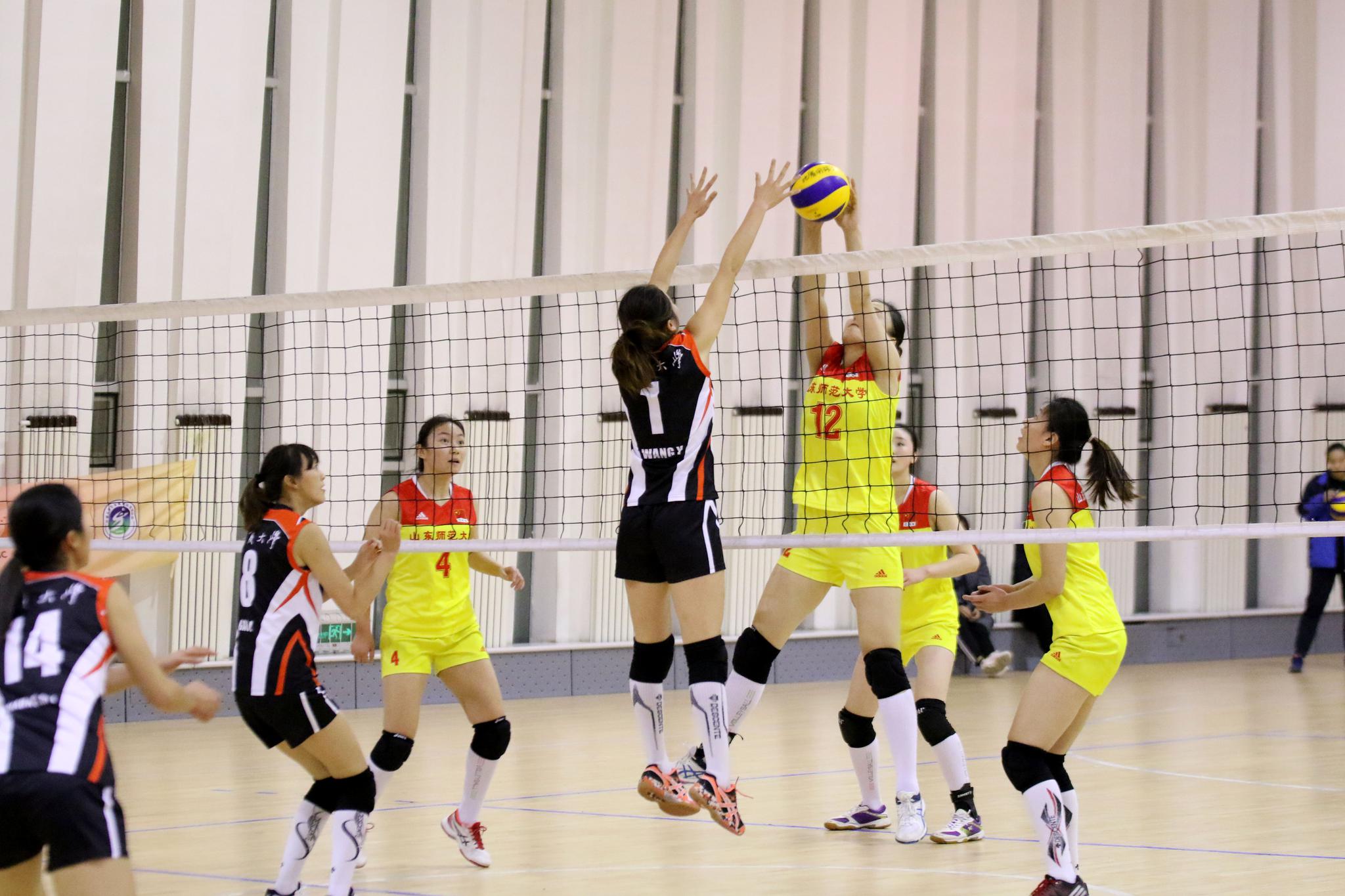 王中王四有精选一肖,探寻幸运之选的智慧与艺术,王中王四精选生肖,探寻幸运之选的智慧与艺术揭秘