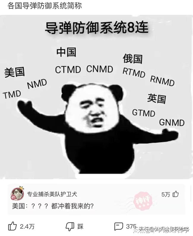 全球各国反导弹防御系统的简称及其重要性,全球各国反导弹防御系统的简称与重要性解析