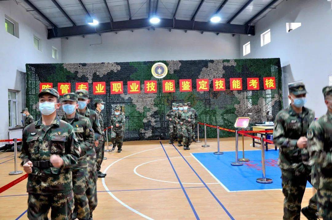 军事综合信息网职业技能鉴定系统研究与应用，军事综合信息网职业技能鉴定系统研究与应用概览